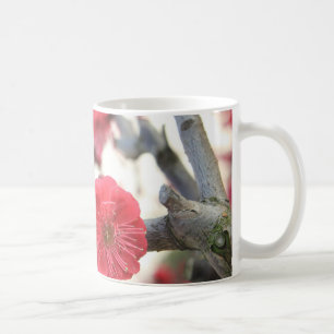 Pflaumenblüte Frühling Rosa Keimung Kaffeetasse