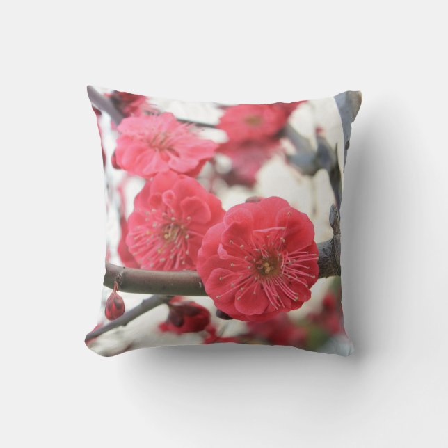 Pflaumenblüte Frühling Rosa Keimung Kissen (Vorderseite)