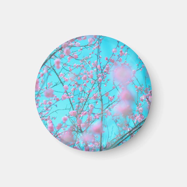 Pflaumenblüten (Suzhou, China) Magnet (Vorne)