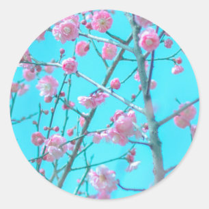 Pflaumenblüten (Suzhou, China) Runder Aufkleber