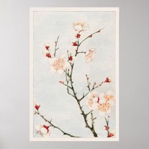 Pflaumenzweige mit Blüten von Megata Morikaga Poster