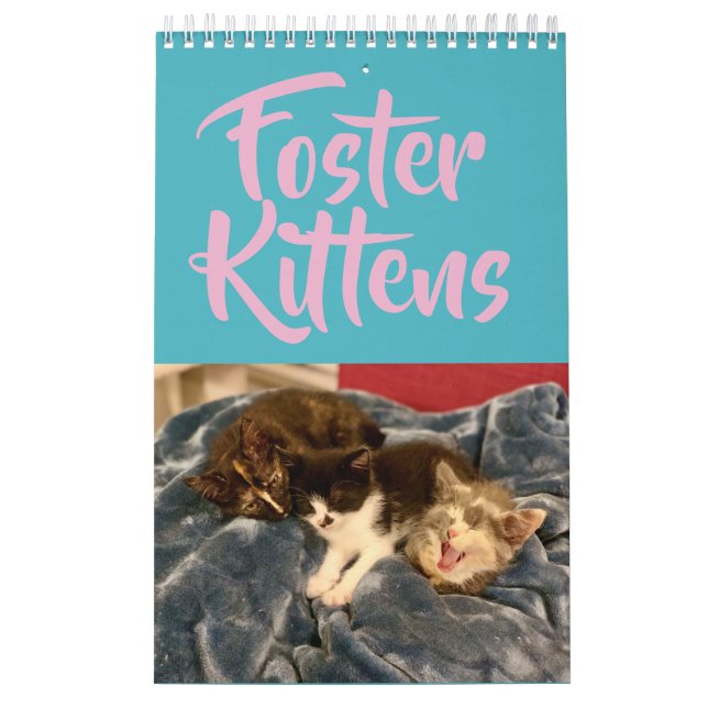 Pflegekalender des kätzchen-2019 kalender (Titelbild)
