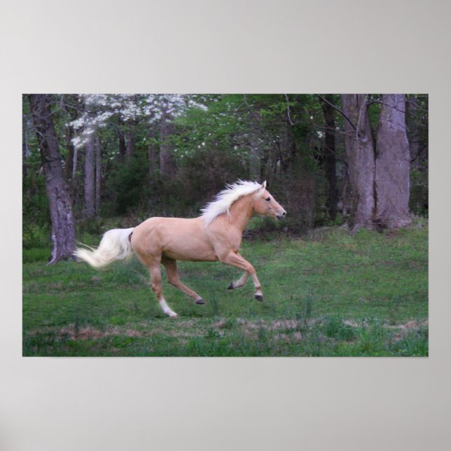 Pflegekostenfrei Poster (Vorne)