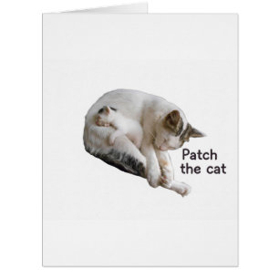 PFLEGEN SIE DIE KATZE UND IHRE KÜCHE