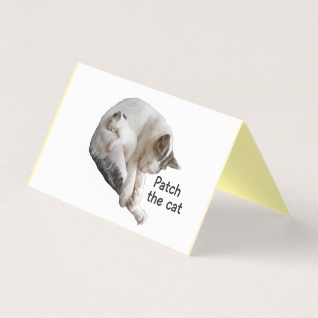 PFLEGEN SIE DIE KATZE UND IHRE KÜCHE (Vorderseite)