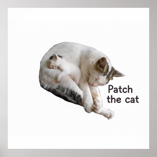 PFLEGEN SIE DIE KATZE UND IHRE KÜCHE POSTER (Vorne)