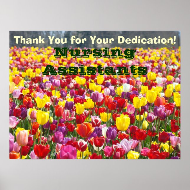 Pflegenassistenten-Wochenplakate Dank-Widmung Poster (Vorne)