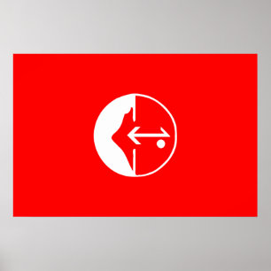 Pflp, politische Flagge Kolumbiens Poster