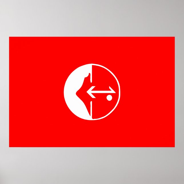 Pflp, politische Flagge Kolumbiens Poster (Vorne)