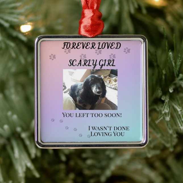 Pfotenabdrücke quer durch den Regenbogen-Tribut Ornament Aus Metall (Baum)