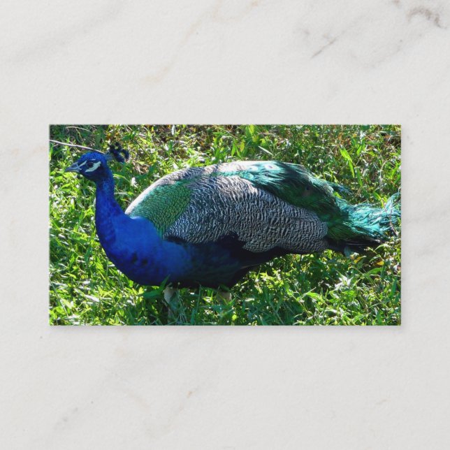 Pfund-Visitenkarten Visitenkarte (Vorderseite)