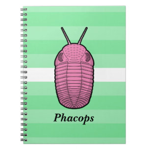 Phacops Trilobit - prähistorisches Tier Notizblock