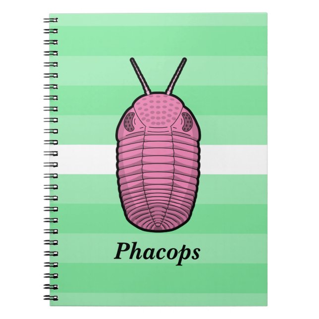 Phacops Trilobit - prähistorisches Tier Notizblock (Vorderseite)