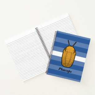 Phacops Trilobit - prähistorisches Tier Notizbuch