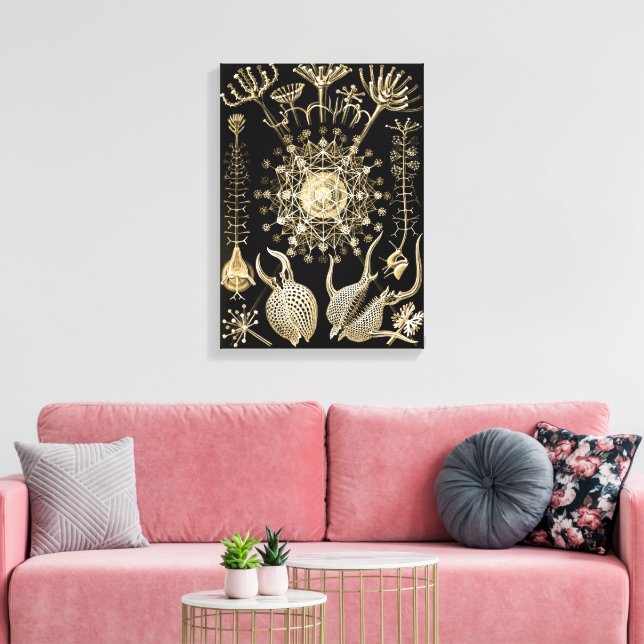 Phaeodarie | 61 Gold | Ernst Haeckel | Leinwanddruck (Insitu (Wohnzimmer))