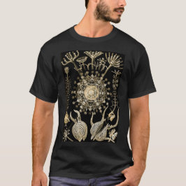 Phaeodarie | 61 Gold | Ernst Haeckel | T-Shirt