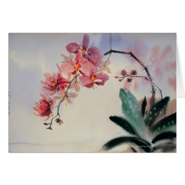 Phalaenopsis (Vorderseite (Horizontal))