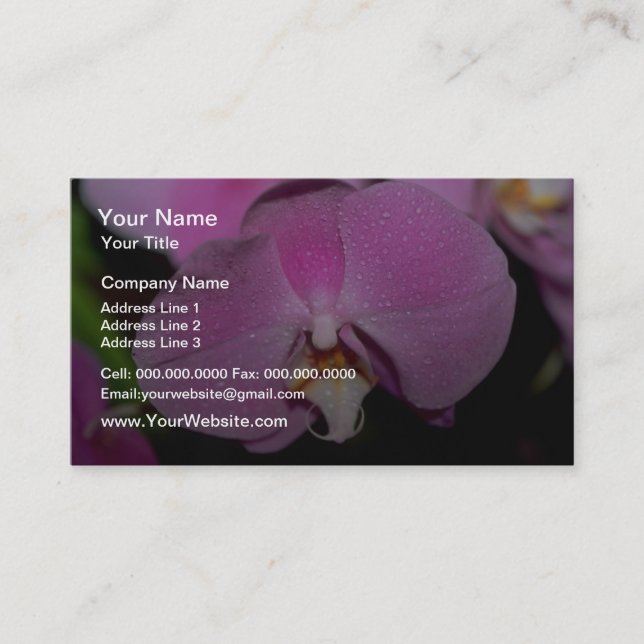 Phalaenopsis-Blumen Visitenkarte (Vorderseite)