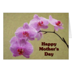 Phalaenopsis fête des mères