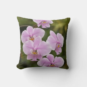 Phalaenopsis Kissen