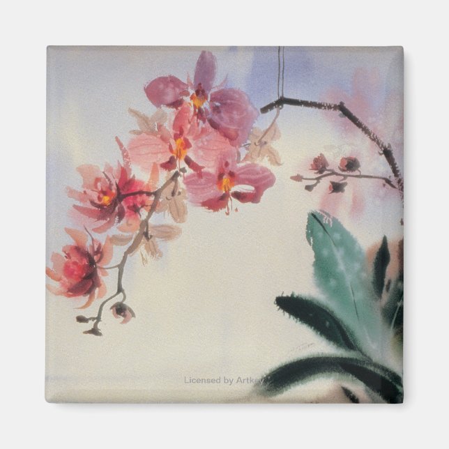 Phalaenopsis Magnet (Vorne)