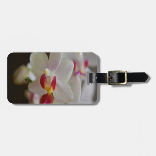 Phalaenopsis Orchid Gepäckanhänger