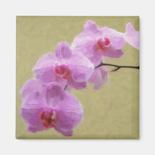 Phalaenopsis Orchid Magnet