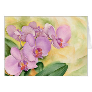 Phalaenopsis-Orchideen-Blumen - multi