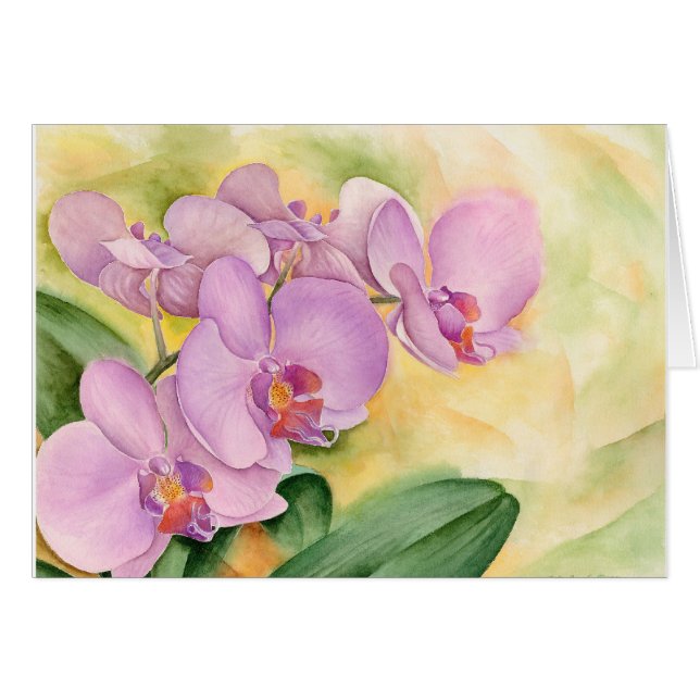 Phalaenopsis-Orchideen-Blumen - multi (Vorderseite (Horizontal))