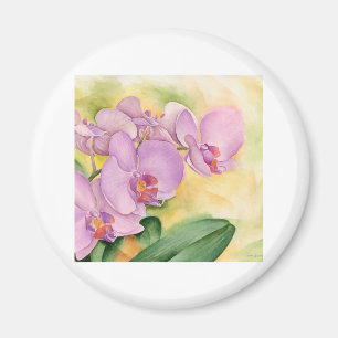 Phalaenopsis-Orchideen-Blumen - multi Magnet