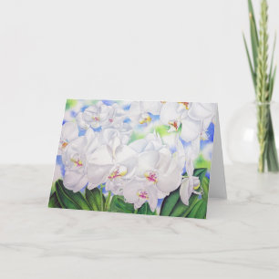 Phalaenopsis Orchids Karte