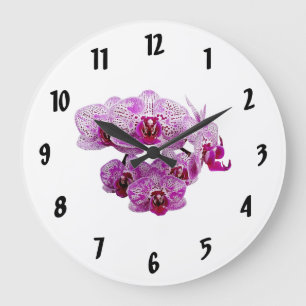 Phalaenopsis OX Happy Girl Orchid Große Wanduhr