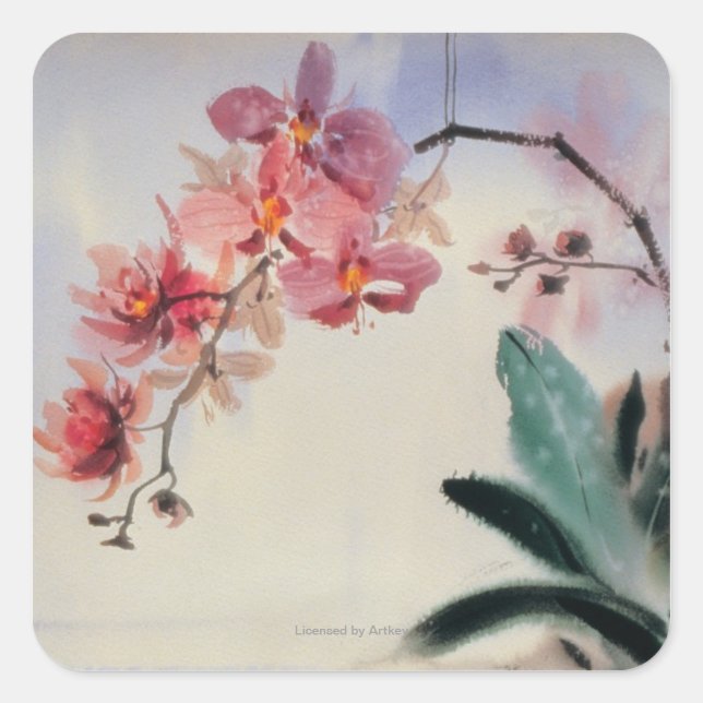 Phalaenopsis Quadratischer Aufkleber (Vorderseite)