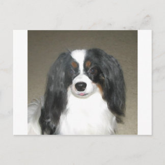 Phalène Papillon Postkarte