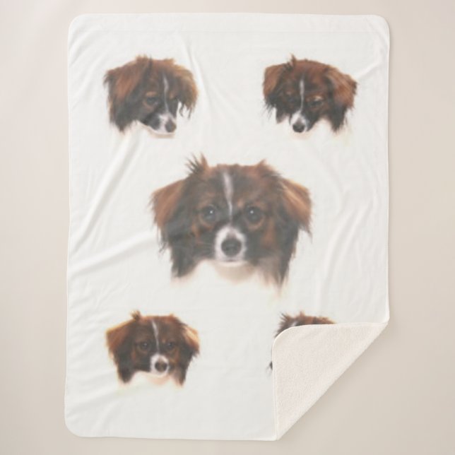 PHALENE PAPILLON SHERPADECKE (Vorderseite)