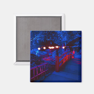 Phantasiemagnet Magnet