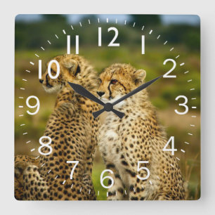 Phantastisch Cheetah Quadratische Wanduhr