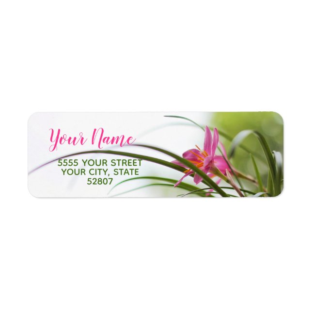 Phantastisch Fairy Lily Rücksendeadressen-Aufklebe (Vorne)