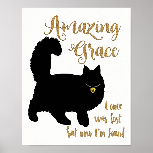 Phantastisch Grace Retcued Cat Poster (Vorne)