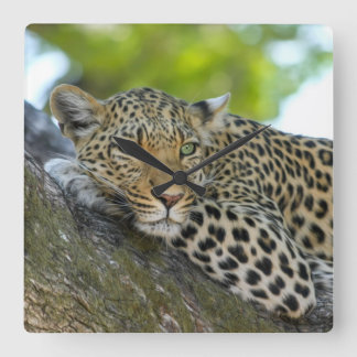 Phantastisch Leopard Quadratische Wanduhr