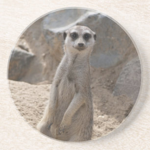Phantastisch Meerkat Getränkeuntersetzer