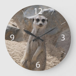 Phantastisch Meerkat Große Wanduhr