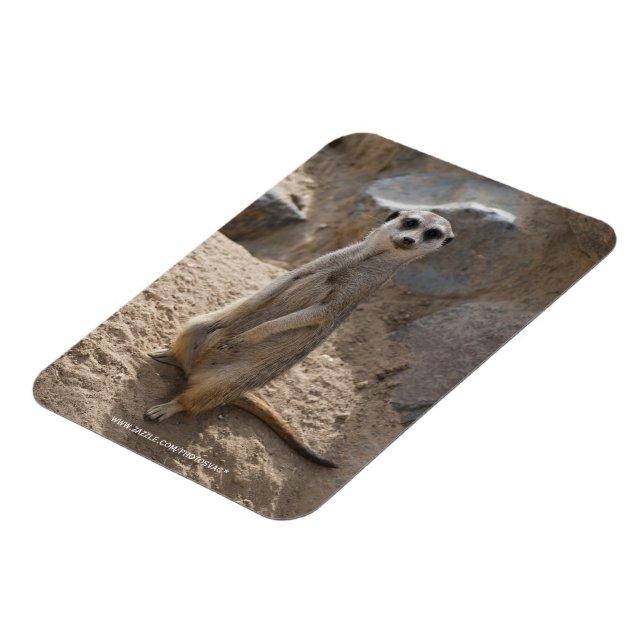 Phantastisch Meerkat Magnet (Linke Seite)