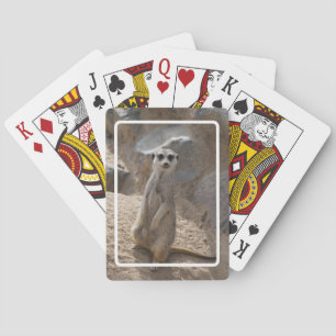 Phantastisch Meerkat Spielkarten