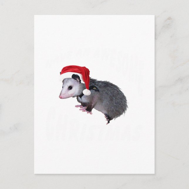 Phantastisch Possum Weihnachten (Vorderseite)