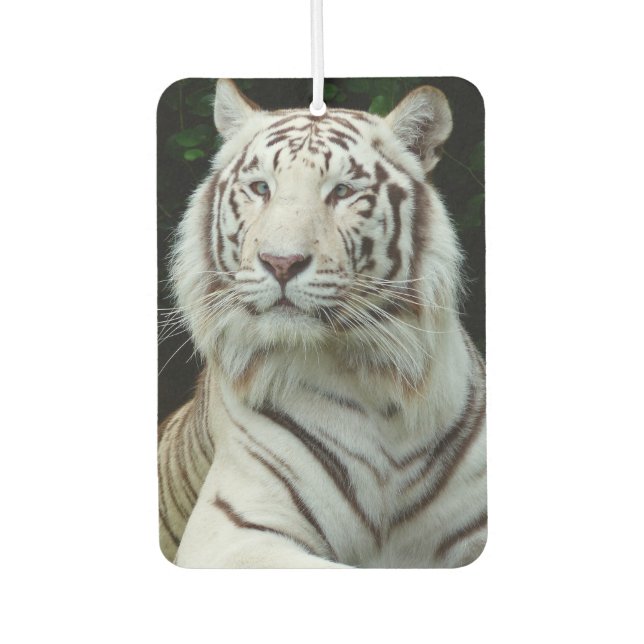 Phantastisch White Tiger Autolufterfrischer (Vorderseite)