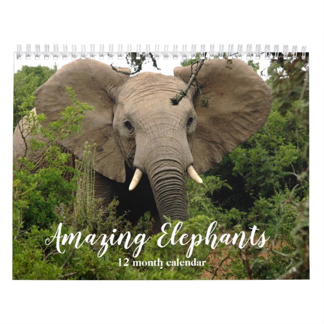 Phantastische Elefanten 2026 Kalender (Titelbild)