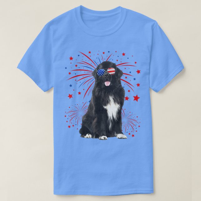 Phantastische Hundeschlittenflagge am 4. Juli T-Shirt (Design vorne)