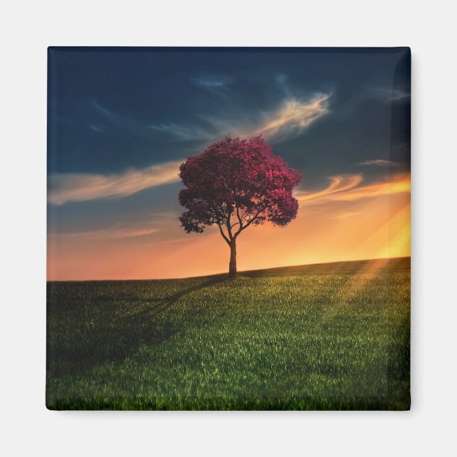 Phantastische Landschaft mit Rotem Baum bei Sonnen Magnet (Vorne)