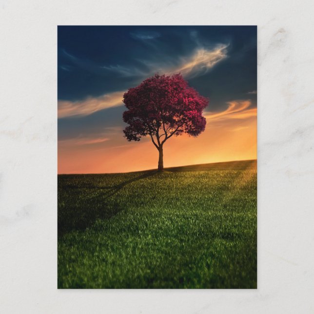Phantastische Landschaft mit Rotem Baum bei Sonnen Postkarte (Vorderseite)